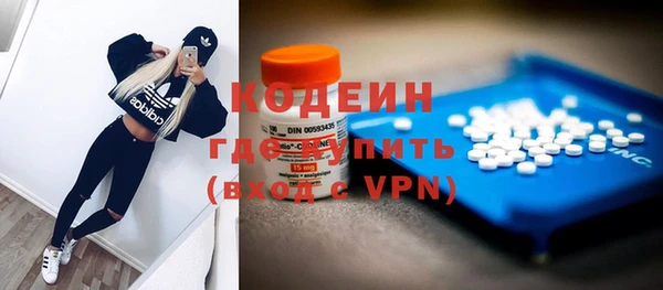 крисы Киренск