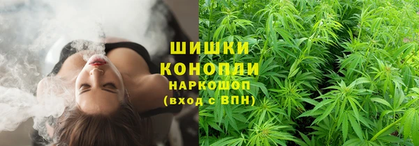 дживик Киреевск