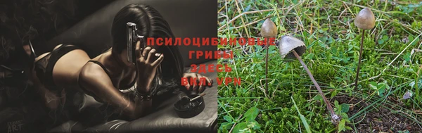 крисы Киренск
