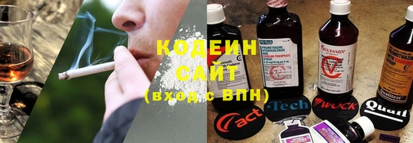крисы Киренск